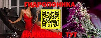 шишки Рязань